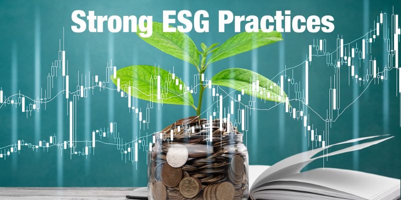 Companies with Strong ESG Practices