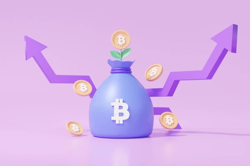 The risks of investing in Purple Bitcoin