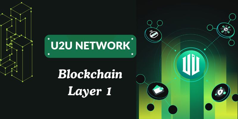 Blockchain Layer 1 platforms